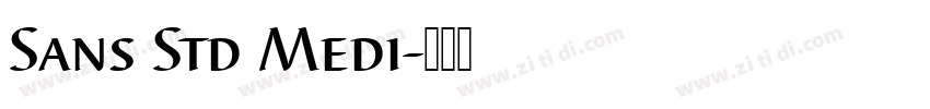Sans Std Medi字体转换